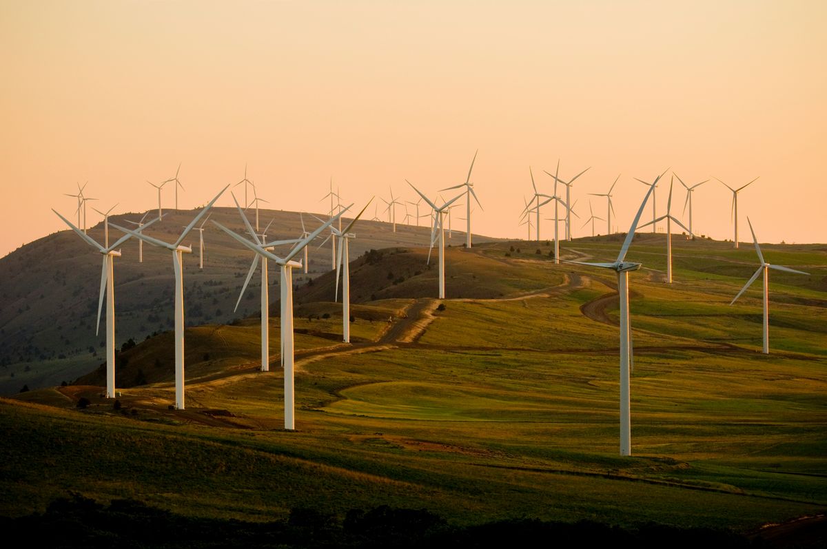 A hillside wind farm of white turbines at golden hour